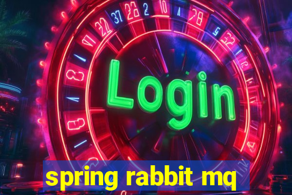 spring rabbit mq